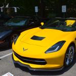 StElizabeths_0022 (June 26, 2015)